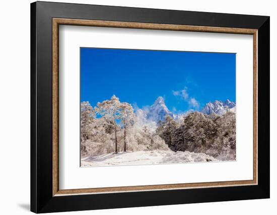 Peak of Mount Everest with snow covered forest, Himalayas, Nepal, Asia-Laura Grier-Framed Photographic Print