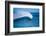 Peak-Offshore wind and breaking wave, Hawaii-Mark A Johnson-Framed Photographic Print