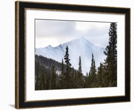 Peaked-Brenda Petrella Photography LLC-Framed Giclee Print