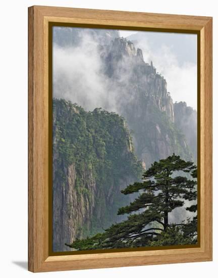 Peaks and Valleys of Grand Canyon in West Sea, Mt. Huang Shan, China-Adam Jones-Framed Premier Image Canvas