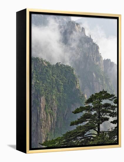 Peaks and Valleys of Grand Canyon in West Sea, Mt. Huang Shan, China-Adam Jones-Framed Premier Image Canvas