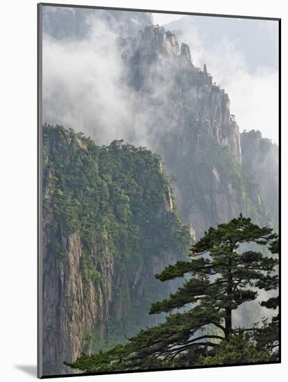 Peaks and Valleys of Grand Canyon in West Sea, Mt. Huang Shan, China-Adam Jones-Mounted Photographic Print