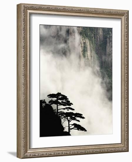 Peaks and Valleys of Grand Canyon in West Sea, Mt. Huang Shan, China-Adam Jones-Framed Photographic Print