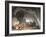 Peaks Hole, Derbyshire-J M W Turner-Framed Giclee Print