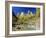 Peaks of Abraham and Isaac Tower Above the Virgin River, Utah, USA-Ruth Tomlinson-Framed Photographic Print