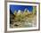 Peaks of Abraham and Isaac Tower Above the Virgin River, Utah, USA-Ruth Tomlinson-Framed Photographic Print