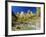 Peaks of Abraham and Isaac Tower Above the Virgin River, Utah, USA-Ruth Tomlinson-Framed Photographic Print