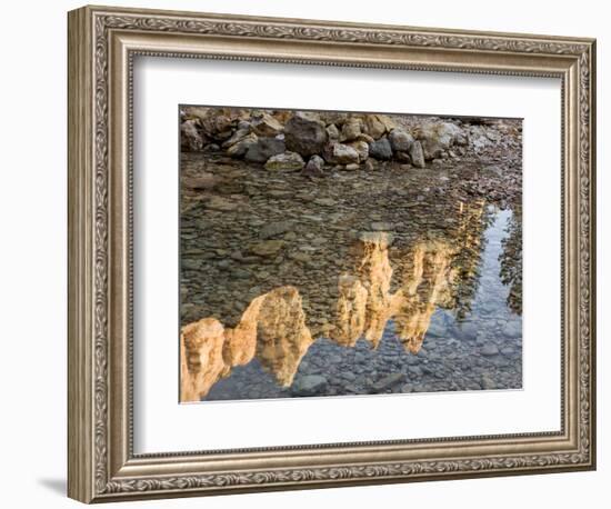 Peaks Reflecting in Small Pool at Mossy Cave at Bryce Canyon National Park, Utah, USA-Tom Norring-Framed Photographic Print