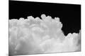 Premium Photographic Print