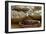 Peanuts, Eggs, and Dried Berries for Breakfast at a Reenactment on the Yorktown Battlefield-null-Framed Giclee Print