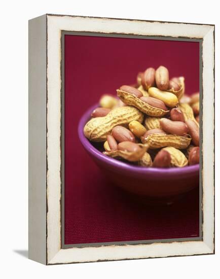 Peanuts in a Bowl-Akiko Ida-Framed Premier Image Canvas