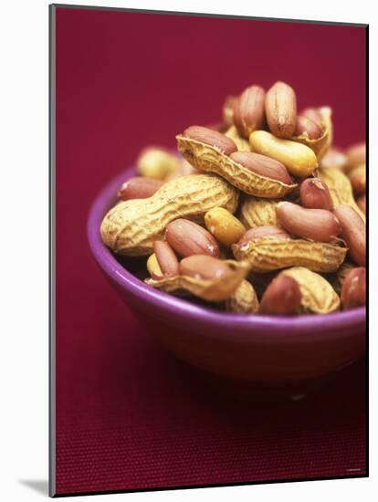 Peanuts in a Bowl-Akiko Ida-Mounted Photographic Print