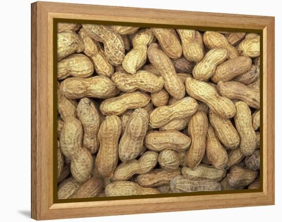 Peanuts in Shell, Washington, USA-Jamie & Judy Wild-Framed Premier Image Canvas