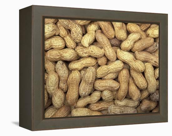 Peanuts in Shell, Washington, USA-Jamie & Judy Wild-Framed Premier Image Canvas