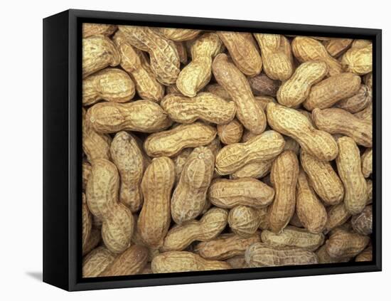 Peanuts in Shell, Washington, USA-Jamie & Judy Wild-Framed Premier Image Canvas