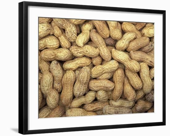 Peanuts in Shell, Washington, USA-Jamie & Judy Wild-Framed Photographic Print