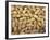 Peanuts in Shell, Washington, USA-Jamie & Judy Wild-Framed Photographic Print