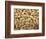 Peanuts in Shell, Washington, USA-Jamie & Judy Wild-Framed Photographic Print