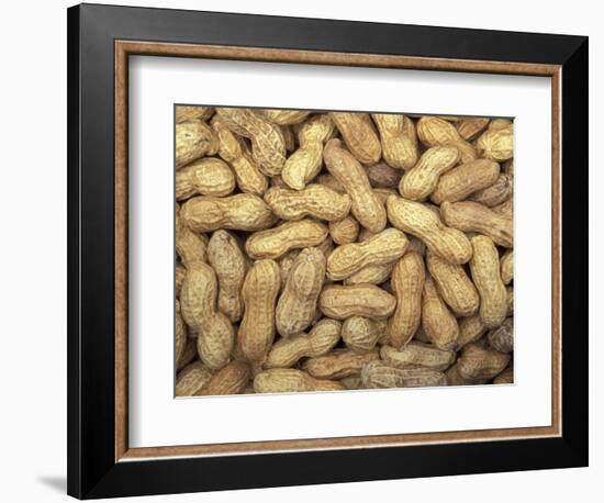 Peanuts in Shell, Washington, USA-Jamie & Judy Wild-Framed Photographic Print