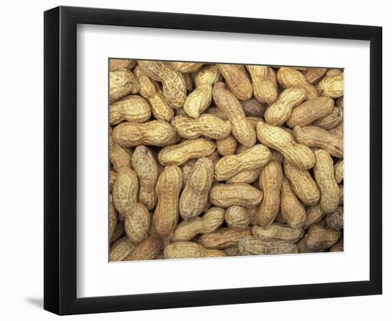 Peanuts in Shell, Washington, USA-Jamie & Judy Wild-Framed Photographic Print