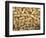 Peanuts in Shell, Washington, USA-Jamie & Judy Wild-Framed Photographic Print