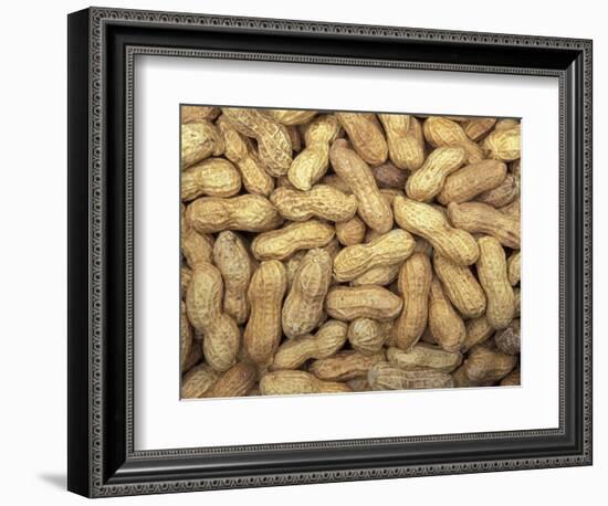 Peanuts in Shell, Washington, USA-Jamie & Judy Wild-Framed Photographic Print