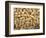 Peanuts in Shell, Washington, USA-Jamie & Judy Wild-Framed Photographic Print