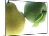 Pear and Apple-null-Mounted Photographic Print