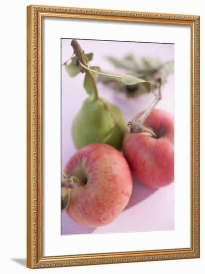 Pear and Two Apples with Stalks and Leaves (Overhead View)-Foodcollection-Framed Photographic Print