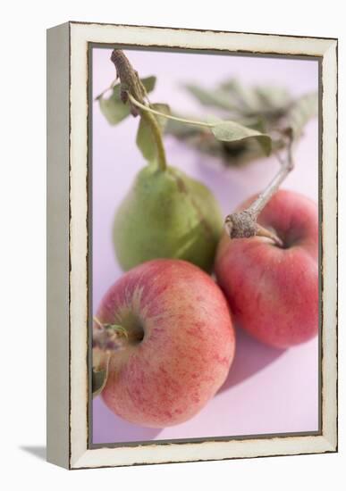 Pear and Two Apples with Stalks and Leaves (Overhead View)-Foodcollection-Framed Premier Image Canvas