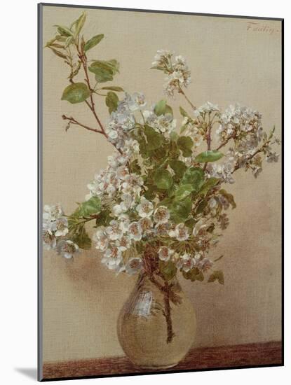 Pear Blossom, 1882-Henri Fantin-Latour-Mounted Giclee Print