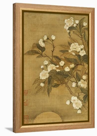 Pear Blossom and Moon-Yun Shouping-Framed Premier Image Canvas