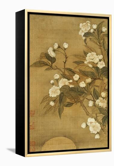 Pear Blossom and Moon-Yun Shouping-Framed Premier Image Canvas