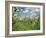 Pear Blossom in Orchard, Holt Fleet, Worcestershire, England, United Kingdom, Europe-Hunter David-Framed Photographic Print