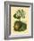 Pear Blossom-Vision Studio-Framed Art Print