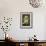 Pear Blossom-Barbara Regina Dietzsch-Framed Giclee Print displayed on a wall