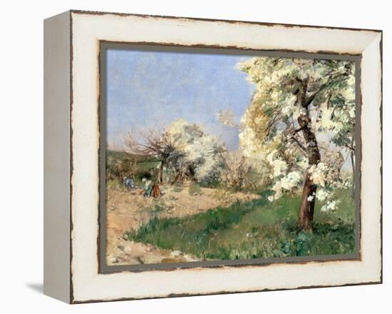 Pear Blossoms, Villiers-De-Bel-Childe Hassam-Framed Premier Image Canvas