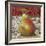 Pear Delight-Todd Williams-Framed Art Print