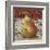 Pear Delight-Todd Williams-Framed Art Print