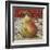 Pear Delight-Todd Williams-Framed Art Print