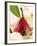 Pear in Red Wine with Cinnamon in Madeira Cream-null-Framed Photographic Print