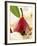 Pear in Red Wine with Cinnamon in Madeira Cream-null-Framed Photographic Print