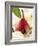 Pear in Red Wine with Cinnamon in Madeira Cream-null-Framed Photographic Print