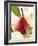 Pear in Red Wine with Cinnamon in Madeira Cream-null-Framed Photographic Print