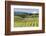 Pear Orchards Blooms with Mount Adams, Oregon, USA-Chuck Haney-Framed Photographic Print