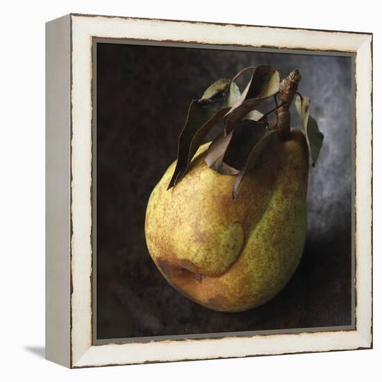 Pear Portrayal-Bill Philip-Framed Stretched Canvas
