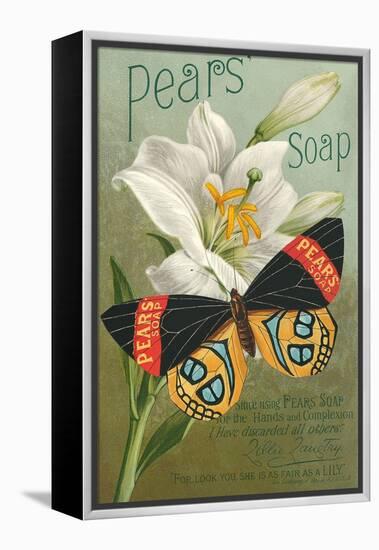 Pear's Soap Ad, Lily-null-Framed Stretched Canvas