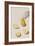 Pear Segments-Irene Suchocki-Framed Giclee Print