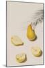 Pear Segments-Irene Suchocki-Mounted Giclee Print