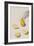 Pear Segments-Irene Suchocki-Framed Giclee Print